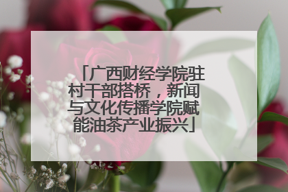 广西财经学院驻村干部搭桥，新闻与文化传播学院赋能油茶产业振兴