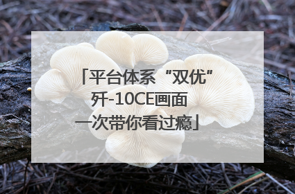 平台体系“双优” 歼-10CE画面一次带你看过瘾