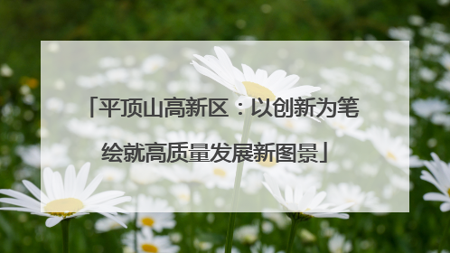 平顶山高新区：以创新为笔 绘就高质量发展新图景