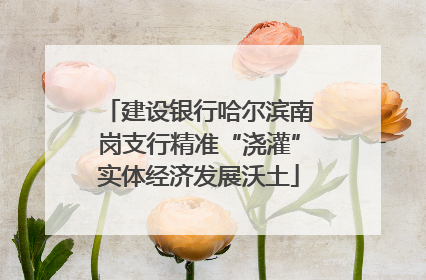 建设银行哈尔滨南岗支行精准“浇灌”实体经济发展沃土