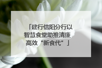 建行信阳分行以智慧食堂助推清廉高效“新食代”