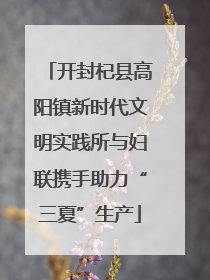 开封杞县高阳镇新时代文明实践所与妇联携手助力“三夏”生产