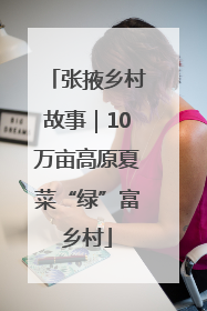 张掖乡村故事｜10万亩高原夏菜“绿”富乡村