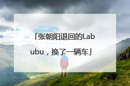 张朝阳退回的Labubu，换了一辆车
