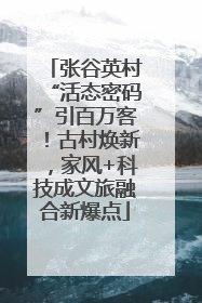 张谷英村“活态密码”引百万客！古村焕新，家风+科技成文旅融合新爆点