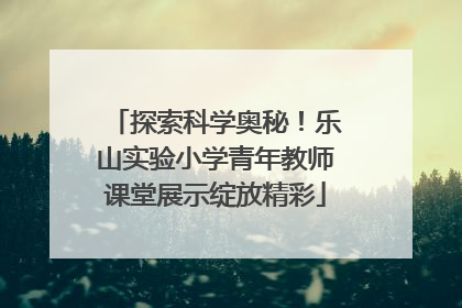 探索科学奥秘！乐山实验小学青年教师课堂展示绽放精彩