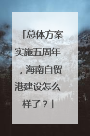 总体方案实施五周年，海南自贸港建设怎么样了？