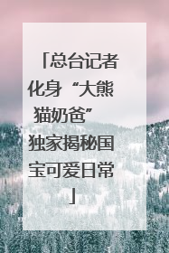 总台记者化身“大熊猫奶爸” 独家揭秘国宝可爱日常
