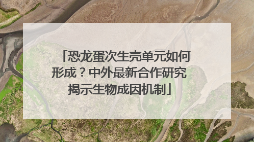恐龙蛋次生壳单元如何形成？中外最新合作研究揭示生物成因机制