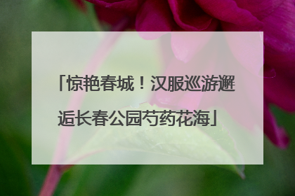 惊艳春城！汉服巡游邂逅长春公园芍药花海