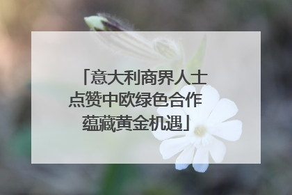 意大利商界人士点赞中欧绿色合作蕴藏黄金机遇