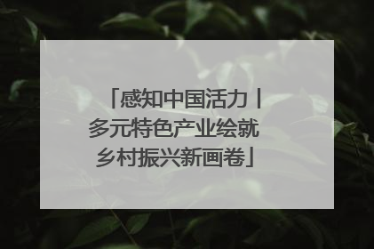 感知中国活力丨多元特色产业绘就乡村振兴新画卷