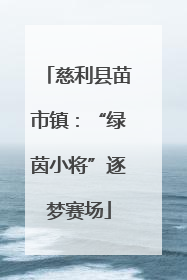 慈利县苗市镇：“绿茵小将”逐梦赛场