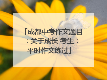 成都中考作文题目：关于成长 考生：平时作文练过