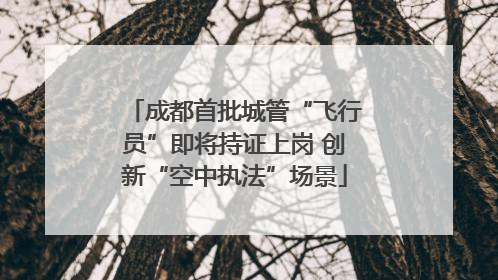 成都首批城管“飞行员”即将持证上岗 创新“空中执法”场景