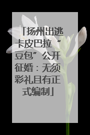 扬州出逃卡皮巴拉“豆包”公开征婚：无须彩礼且有正式编制