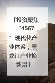 投资聚焦“4567”现代化产业体系，黑龙江产业换新景