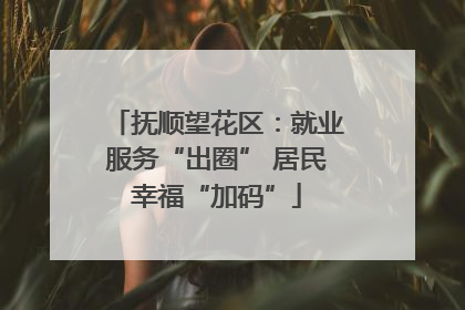 抚顺望花区：就业服务“出圈” 居民幸福“加码”
