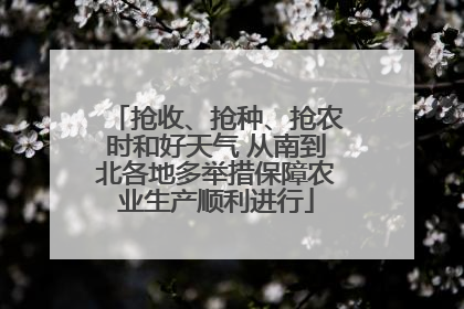 抢收、抢种、抢农时和好天气 从南到北各地多举措保障农业生产顺利进行