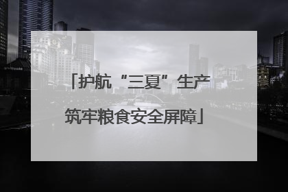 护航“三夏”生产 筑牢粮食安全屏障
