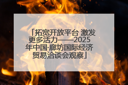 拓宽开放平台 激发更多活力——2025年中国·廊坊国际经济贸易洽谈会观察