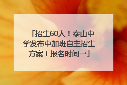 招生60人！泰山中学发布中加班自主招生方案！报名时间→