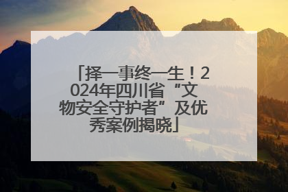 择一事终一生！2024年四川省“文物安全守护者”及优秀案例揭晓