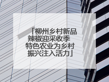 柳州乡村新品辣椒迎采收季 特色农业为乡村振兴注入活力