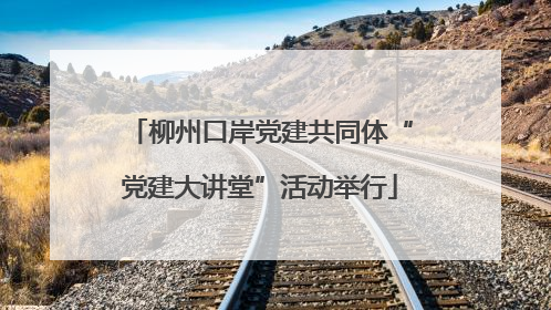 柳州口岸党建共同体“党建大讲堂”活动举行