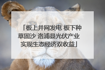 板上并网发电 板下种草固沙 洛浦县光伏产业实现生态经济双收益