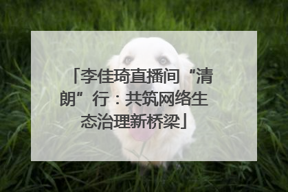 李佳琦直播间“清朗”行：共筑网络生态治理新桥梁