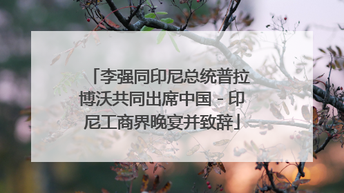 李强同印尼总统普拉博沃共同出席中国－印尼工商界晚宴并致辞