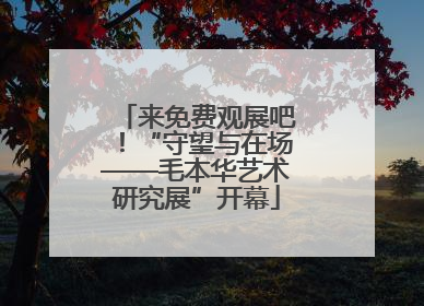 来免费观展吧！“守望与在场——毛本华艺术研究展”开幕