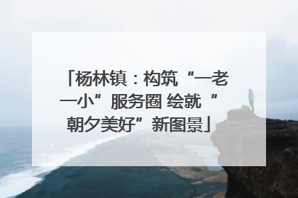 杨林镇：构筑“一老一小”服务圈 绘就“朝夕美好”新图景