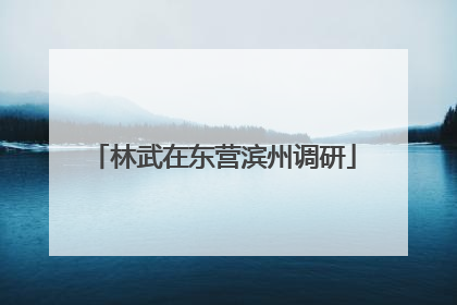 林武在东营滨州调研