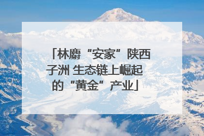 林麝“安家”陕西子洲 生态链上崛起的“黄金”产业