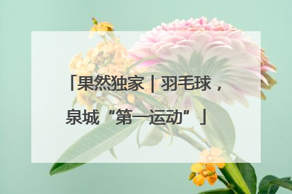 果然独家｜羽毛球，泉城“第一运动”