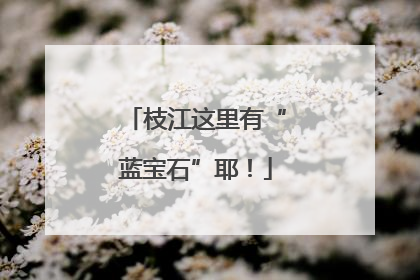 枝江这里有“蓝宝石”耶！
