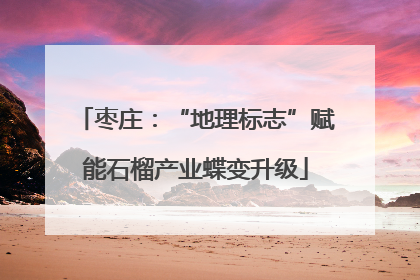 枣庄：“地理标志”赋能石榴产业蝶变升级