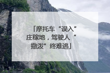 摩托车“误入”庄稼地，驾驶人“撒泼”终难逃