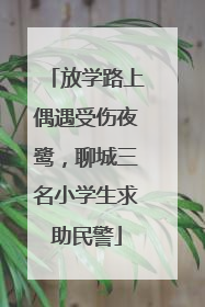 放学路上偶遇受伤夜鹭，聊城三名小学生求助民警