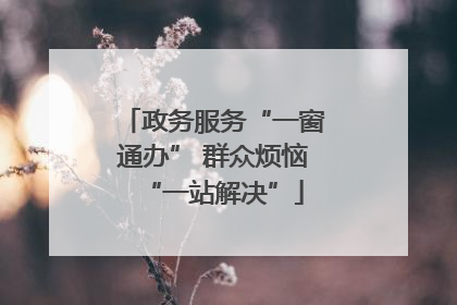 政务服务“一窗通办” 群众烦恼“一站解决”