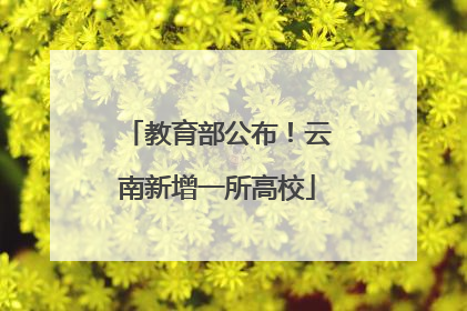 教育部公布！云南新增一所高校