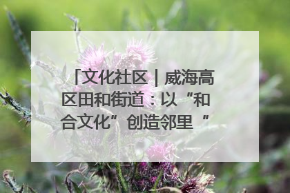 文化社区｜威海高区田和街道：以“和合文化”创造邻里“和合之美”