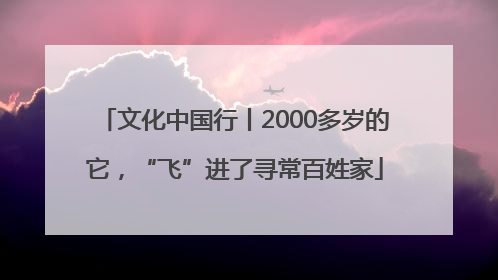 文化中国行丨2000多岁的它，“飞”进了寻常百姓家