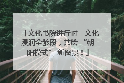文化书院进行时｜文化浸润全龄段，共绘 “朝阳模式” 新图景！