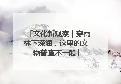 文化新观察｜穿雨林下深海，这里的文物普查不一般