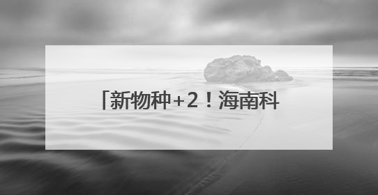 新物种+2！海南科研团队发现素贞灵芝和自然保护地壁虎