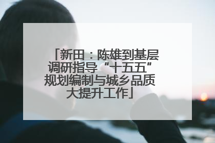 新田：陈雄到基层调研指导“十五五”规划编制与城乡品质大提升工作