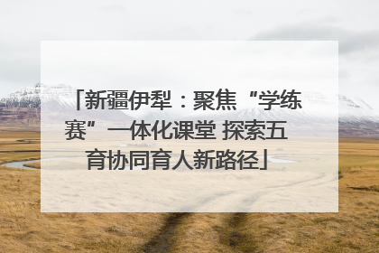 新疆伊犁：聚焦“学练赛”一体化课堂 探索五育协同育人新路径